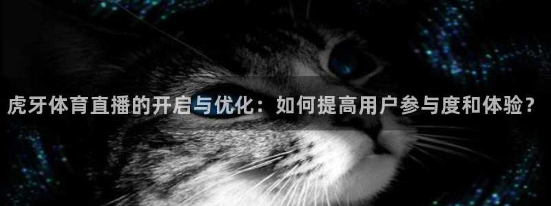虎牙体育直播的开启与优化：如何提高用户参与度和体验？