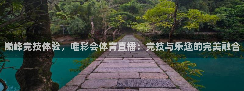 巅峰竞技体验，唯彩会体育直播：竞技与乐趣的完美融合